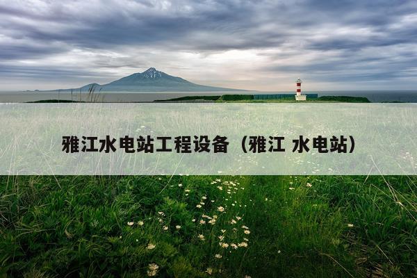 雅江水电站工程设备（雅江 水电站）