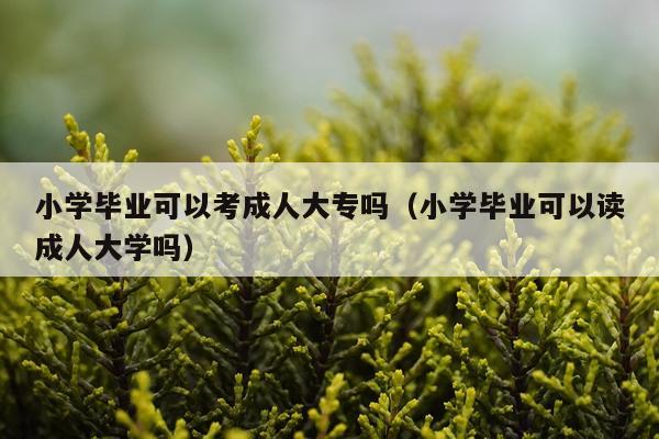小学毕业可以考成人大专吗（小学毕业可以读成人大学吗）