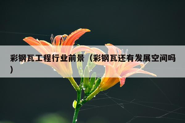 彩钢瓦工程行业前景（彩钢瓦还有发展空间吗）