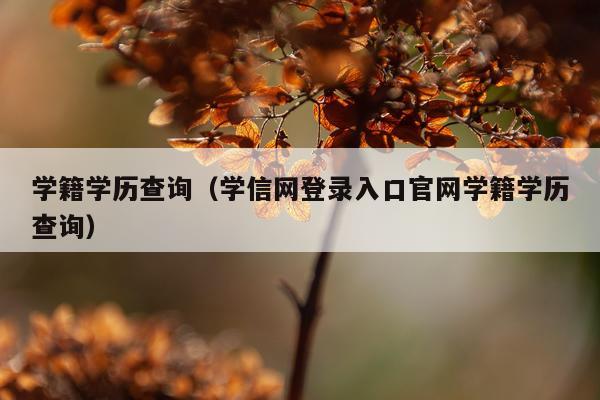 学籍学历查询（学信网登录入口官网学籍学历查询）