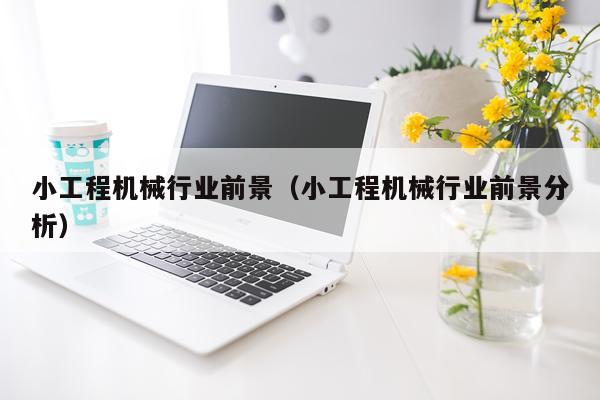 小工程机械行业前景（小工程机械行业前景分析）