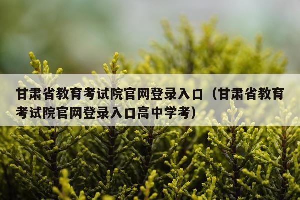 甘肃省教育考试院官网登录入口（甘肃省教育考试院官网登录入口高中学考）