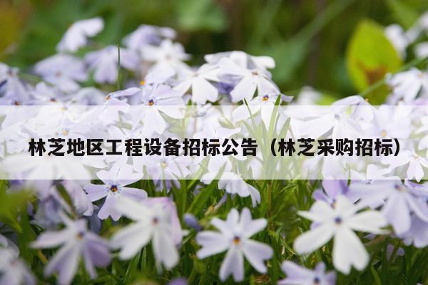 林芝地区工程设备招标公告（林芝采购招标）