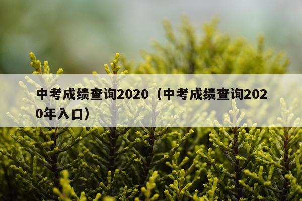 中考成绩查询2020（中考成绩查询2020年入口）