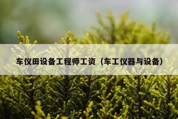 车仪田设备工程师工资（车工仪器与设备）