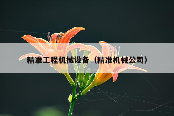 精准工程机械设备（精准机械公司）