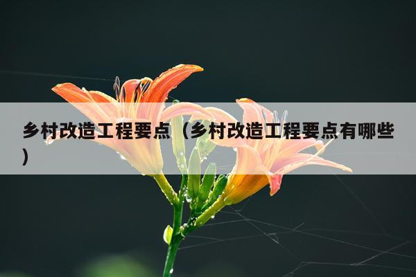 乡村改造工程要点（乡村改造工程要点有哪些）