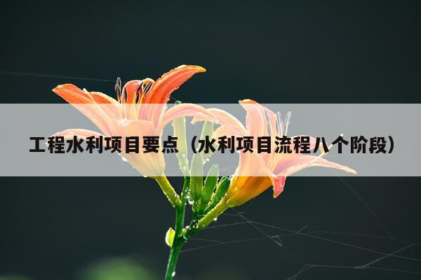 工程水利项目要点（水利项目流程八个阶段）
