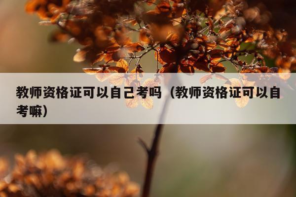 教师资格证可以自己考吗（教师资格证可以自考嘛）