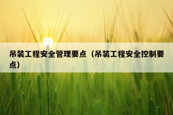 吊装工程安全管理要点（吊装工程安全控制要点）