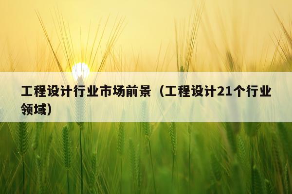 工程设计行业市场前景（工程设计21个行业领域）