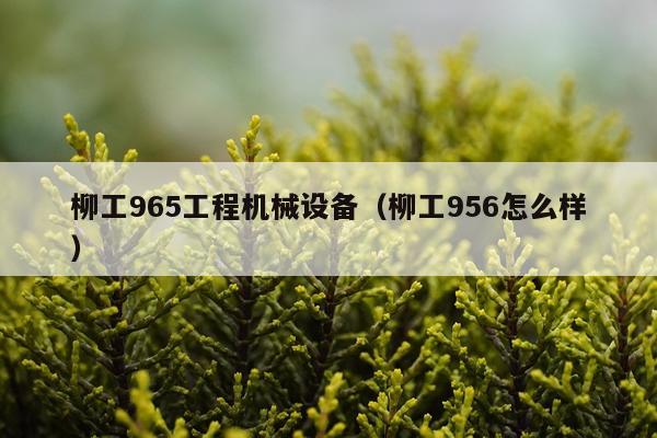 柳工965工程机械设备（柳工956怎么样）