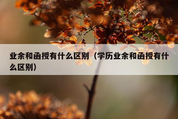 业余和函授有什么区别（学历业余和函授有什么区别）