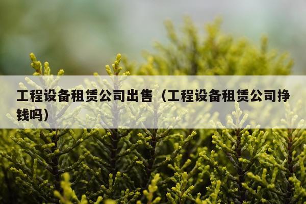 工程设备租赁公司出售（工程设备租赁公司挣钱吗）