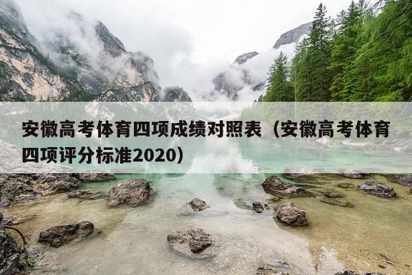 安徽高考体育四项成绩对照表（安徽高考体育四项评分标准2020）