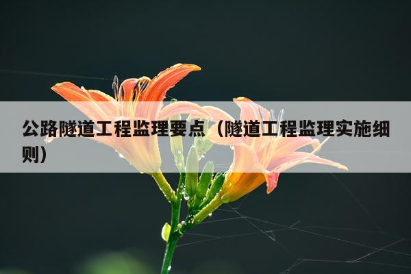公路隧道工程监理要点（隧道工程监理实施细则）