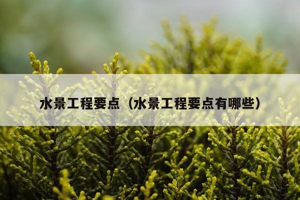 水景工程要点（水景工程要点有哪些）