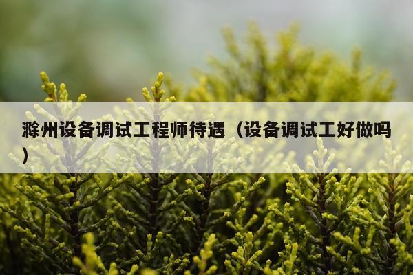 滁州设备调试工程师待遇（设备调试工好做吗）