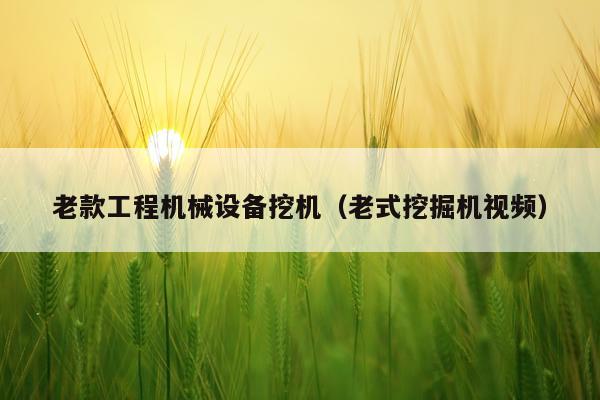 老款工程机械设备挖机（老式挖掘机视频）
