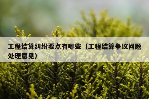 工程结算纠纷要点有哪些（工程结算争议问题处理意见）