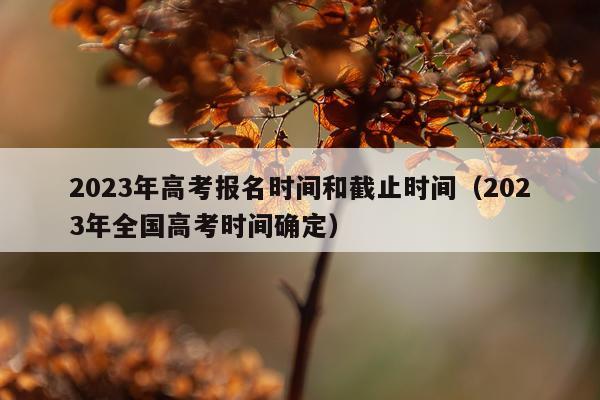 2023年高考报名时间和截止时间（2023年全国高考时间确定）