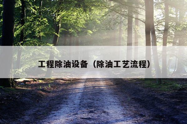 工程除油设备（除油工艺流程）