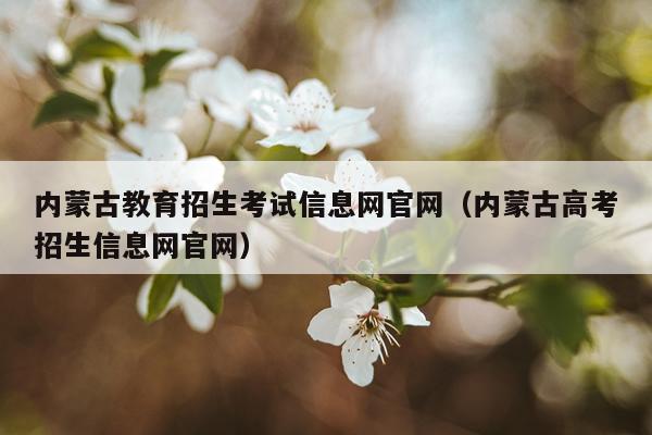 内蒙古教育招生考试信息网官网（内蒙古高考招生信息网官网）