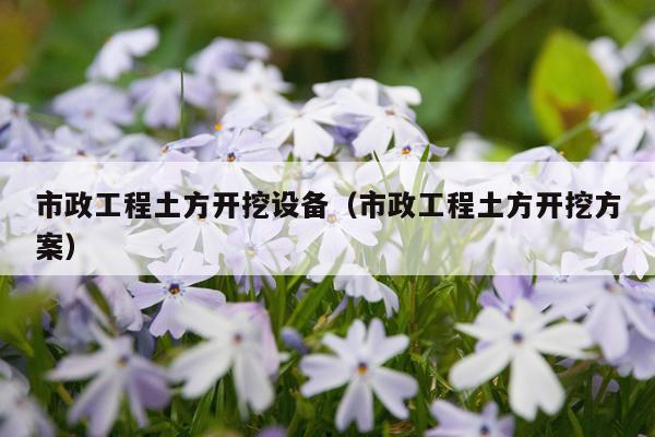 市政工程土方开挖设备（市政工程土方开挖方案）