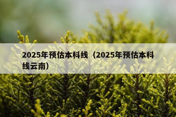 2025年预估本科线（2025年预估本科线云南）