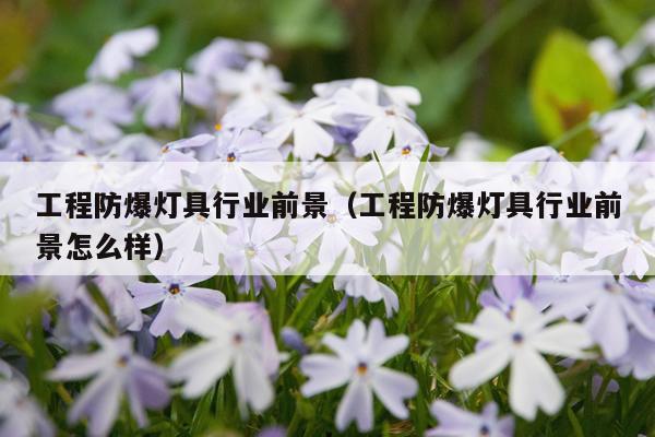 工程防爆灯具行业前景（工程防爆灯具行业前景怎么样）