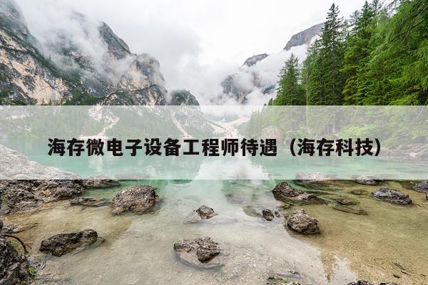海存微电子设备工程师待遇（海存科技）