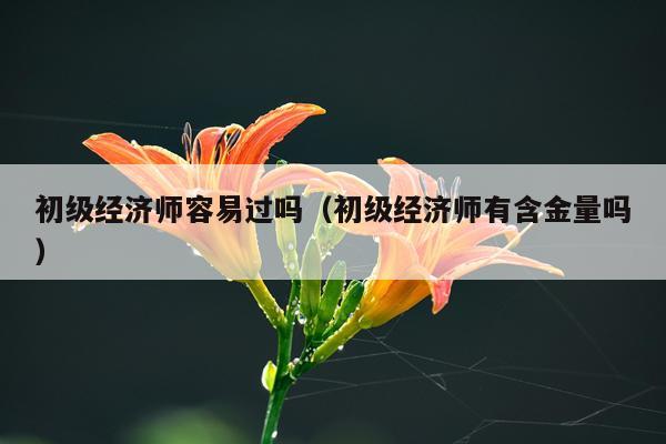 初级经济师容易过吗（初级经济师有含金量吗）