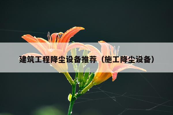 建筑工程降尘设备推荐（施工降尘设备）