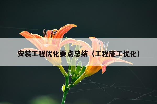 安装工程优化要点总结（工程施工优化）