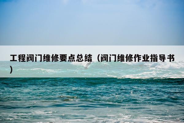 工程阀门维修要点总结（阀门维修作业指导书）