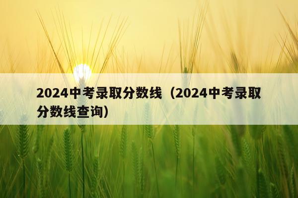 2024中考录取分数线（2024中考录取分数线查询）