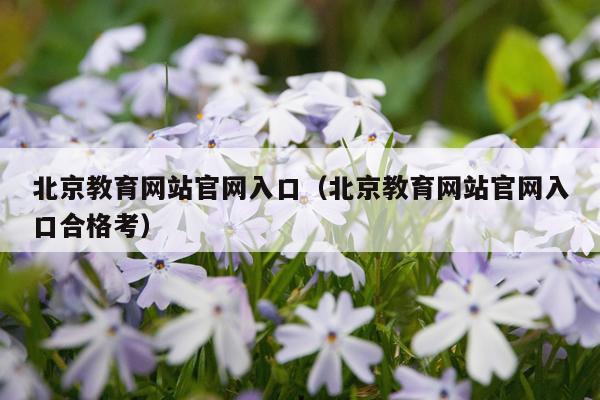 北京教育网站官网入口（北京教育网站官网入口合格考）