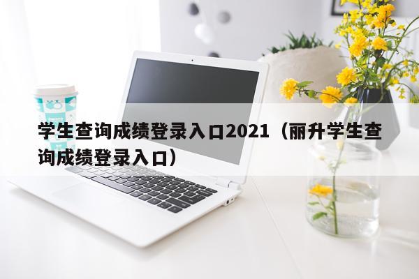 学生查询成绩登录入口2021(丽升学生查询成绩登录入口)