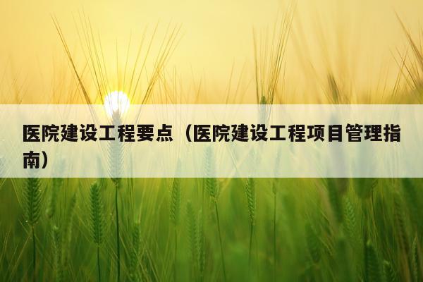 医院建设工程要点（医院建设工程项目管理指南）