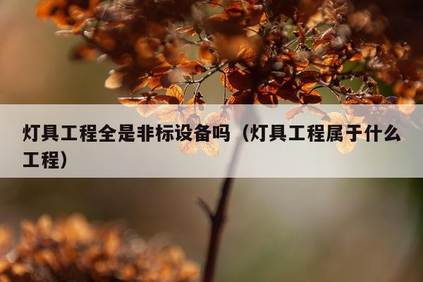 灯具工程全是非标设备吗（灯具工程属于什么工程）