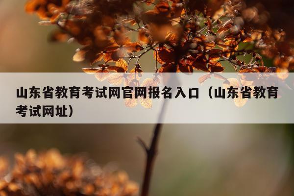 山东省教育考试网官网报名入口（山东省教育考试网址）