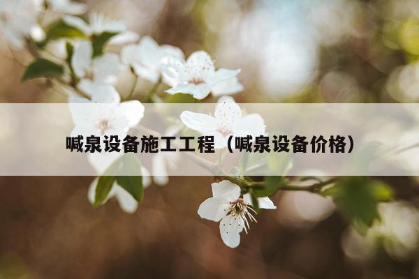 喊泉设备施工工程（喊泉设备价格）
