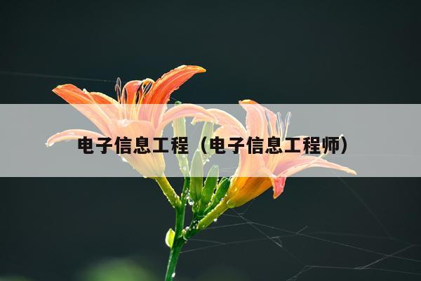 电子信息工程（电子信息工程师）