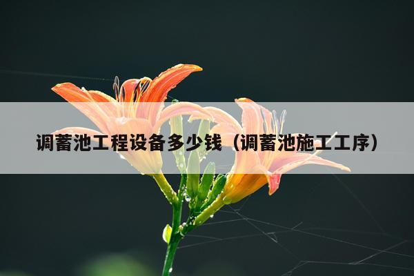 调蓄池工程设备多少钱（调蓄池施工工序）