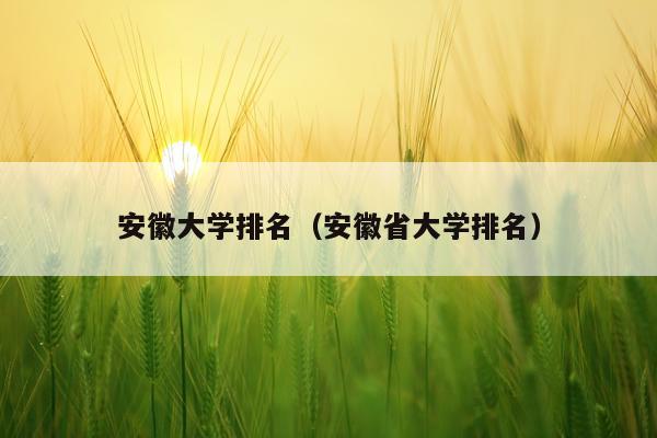安徽大学排名（安徽省大学排名）