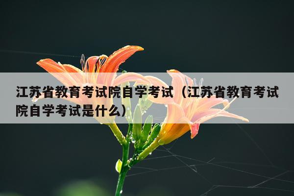 江苏省教育考试院自学考试（江苏省教育考试院自学考试是什么）