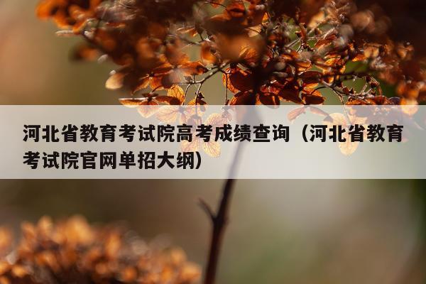 河北省教育考试院高考成绩查询（河北省教育考试院官网单招大纲）