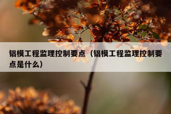 铝模工程监理控制要点（铝模工程监理控制要点是什么）