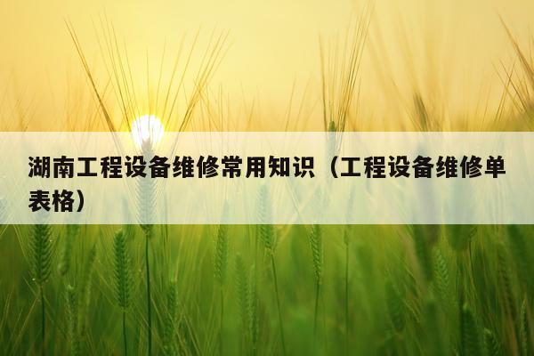 湖南工程设备维修常用知识(工程设备维修单表格)