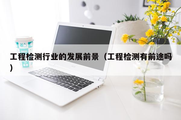 工程检测行业的发展前景（工程检测有前途吗）
